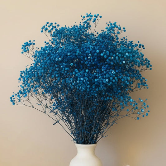 Gypsophile bleue séché naturel Mariage