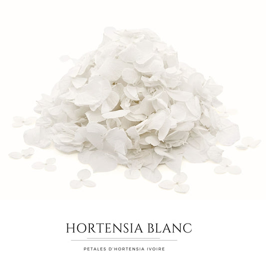 Pétales d'Hortensia séché blanc - Confettis de Mariage