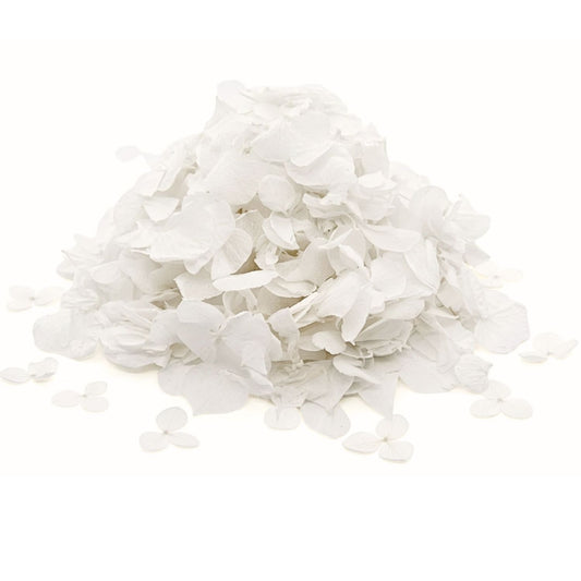 Pétales d'Hortensia séché blanc - Confettis de Mariage