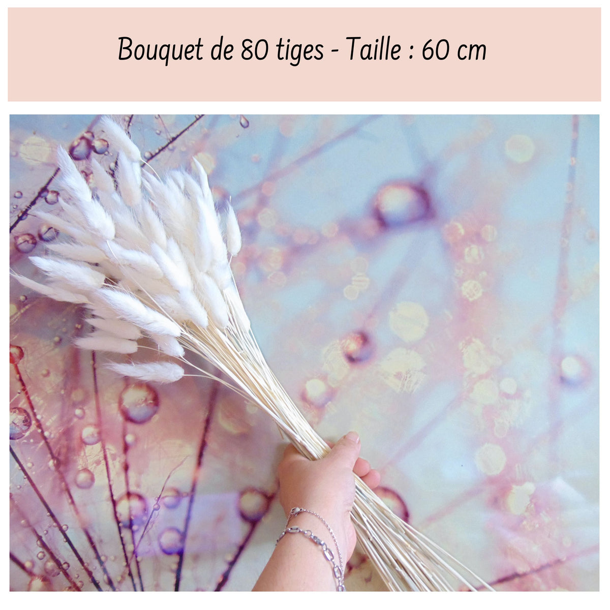 Botte de Lagurus Ovatus séché Blanc