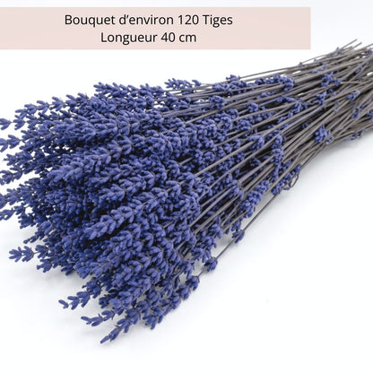 Bouquet de Lavande Stabilisée Bleue – Décoration Mariage Provence
