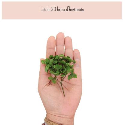 Brins d'Hortensia Stabilisé Blanc – Décoration Mariage
