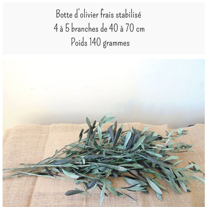 Branche d'Olivier Stabilisé – Décoration Mariage Naturelle & Bohème