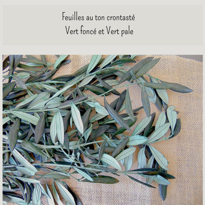 Branche d'Olivier Stabilisé – Décoration Mariage Naturelle & Bohème