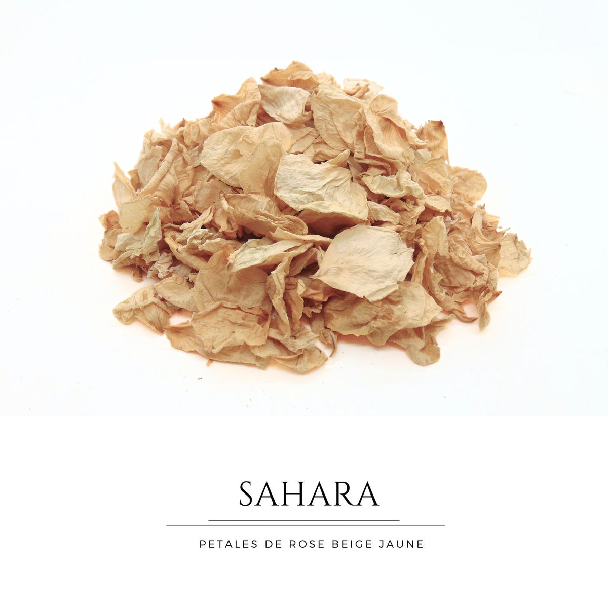 Sahara - Pétales de roses beige sable