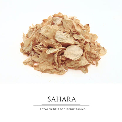 Sahara - Pétales de roses beige sable