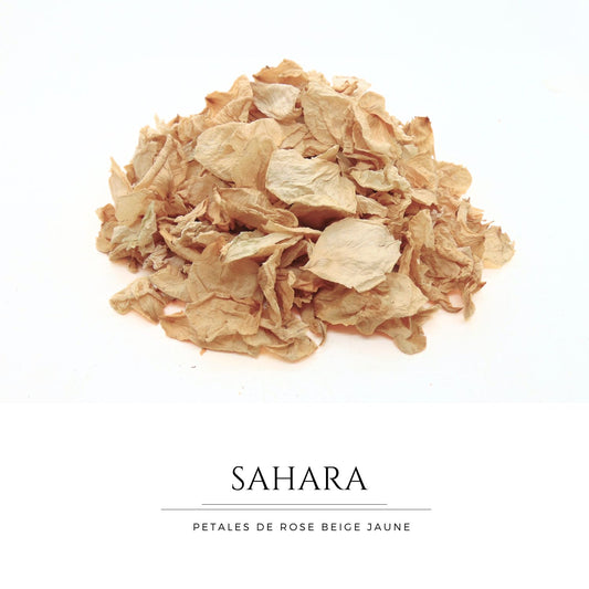 Sahara - Pétales de roses beige sable