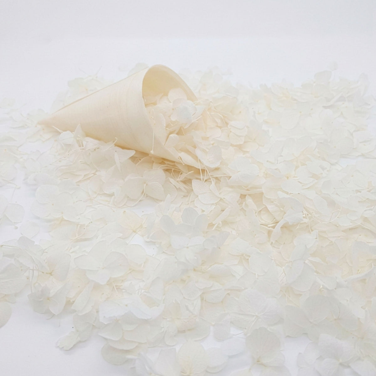 Petit pétales d'hortensia blanc - Confettis de Mariage