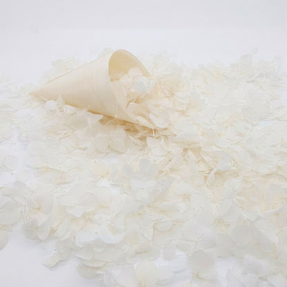 Petit pétales d'hortensia blanc - Confettis de Mariage