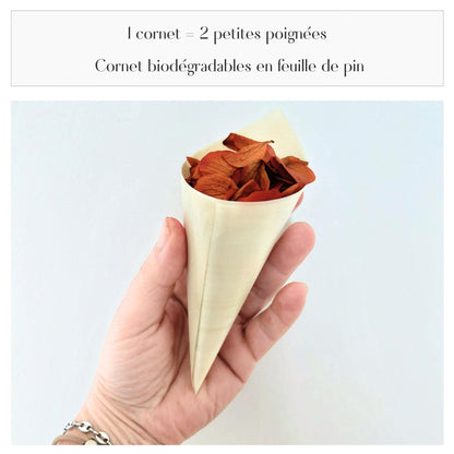 Pétales d'hortensia avec Cornet - Confettis de Mariage