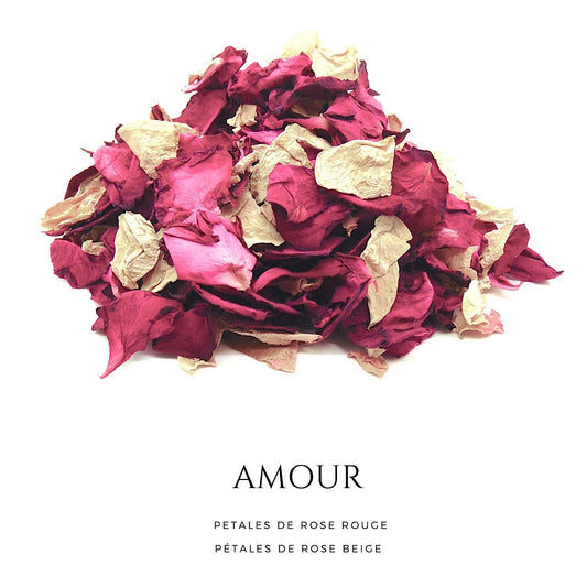 Amour - Pétales de roses rouge cerise et beige