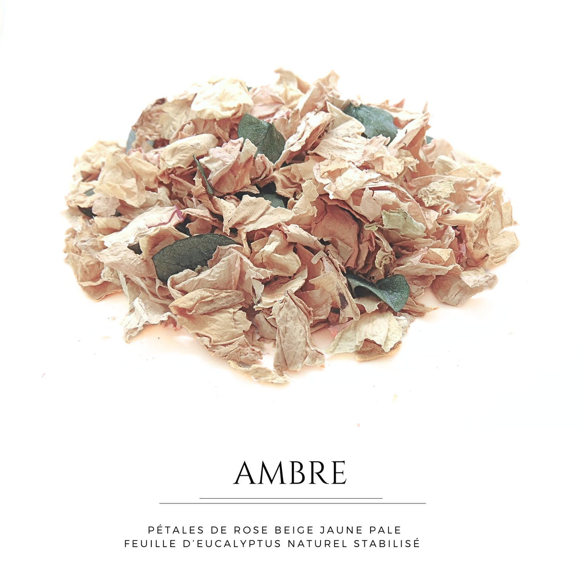 Ambre - Pétales de roses beige Eucalyptus
