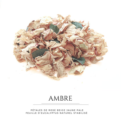 Ambre - Pétales de roses beige Eucalyptus