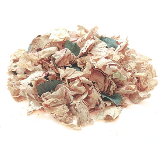 Ambre - Pétales de roses beige Eucalyptus