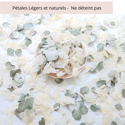 Sauge - Confettis de Fleurs Séchées Mariage