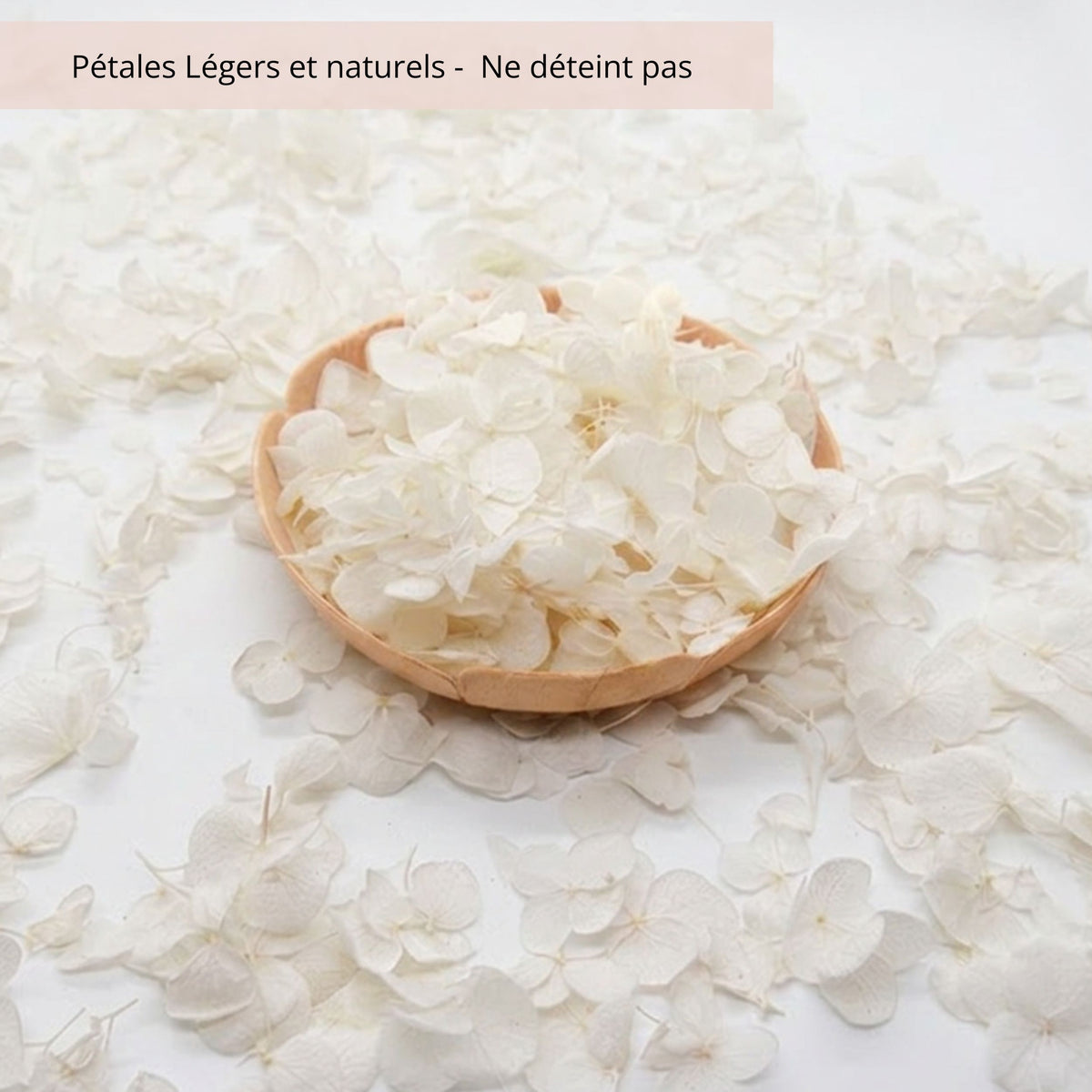 Petit pétales d'hortensia blanc - Confettis de Mariage