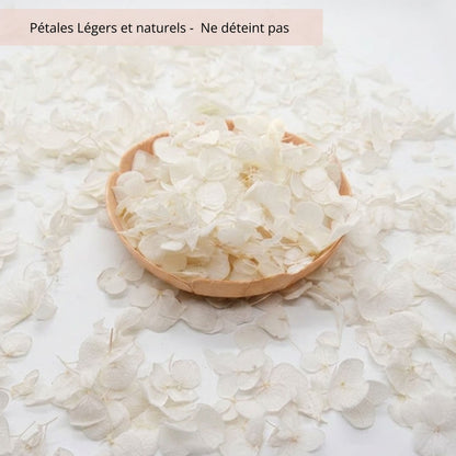 Petit pétales d'hortensia blanc - Confettis de Mariage