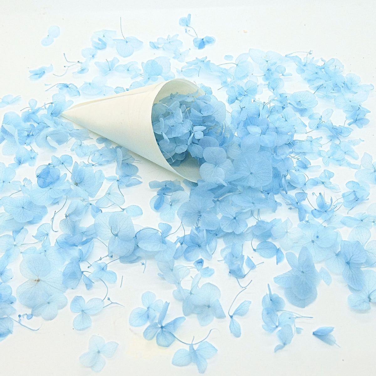 Pétales d'hortensia bleu ciel naturels pour décoration de table mariage