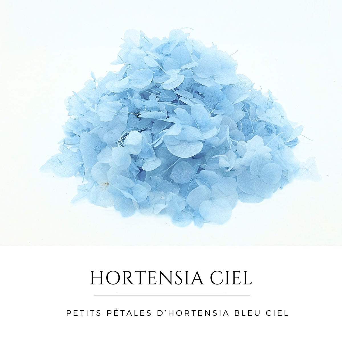 Pétales d'hortensia bleu ciel séchés pour confettis de mariage