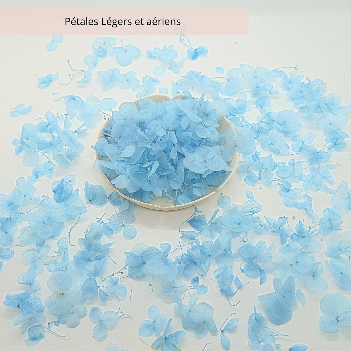 Petit pétales d'hortensia bleu ciel - Confettis de Fleurs