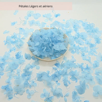 Petit pétales d'hortensia bleu ciel - Confettis de Fleurs
