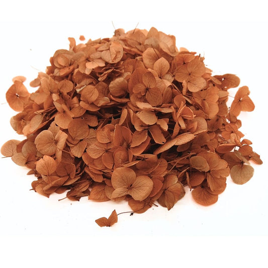 Petits Pétales d'hortensia terracotta - Confettis de Fleurs mariage