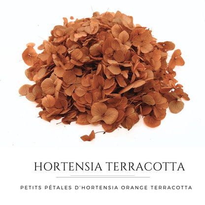Petits Pétales d'hortensia terracotta - Confettis de Fleurs mariage