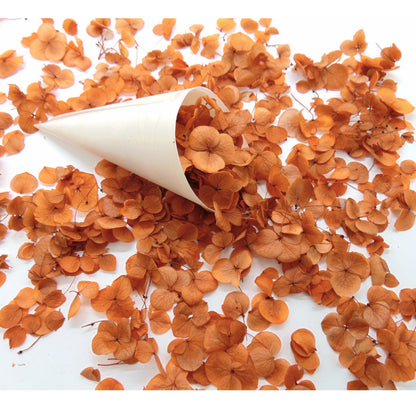 Petits Pétales d'hortensia terracotta - Confettis de Fleurs mariage
