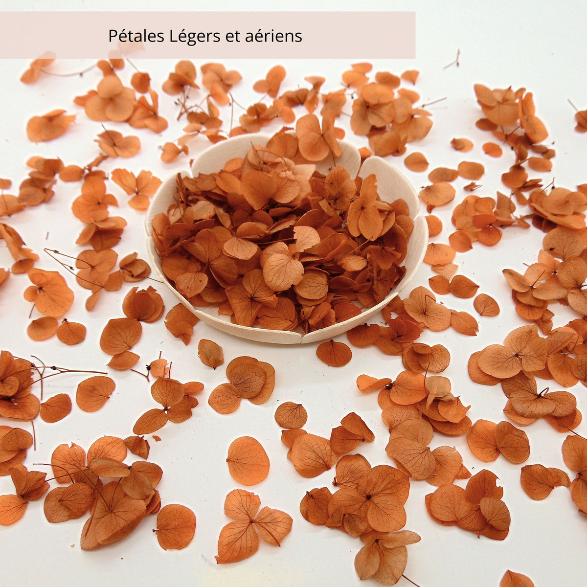 Petits Pétales d'hortensia terracotta - Confettis de Fleurs mariage