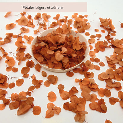 Petits Pétales d'hortensia terracotta - Confettis de Fleurs mariage