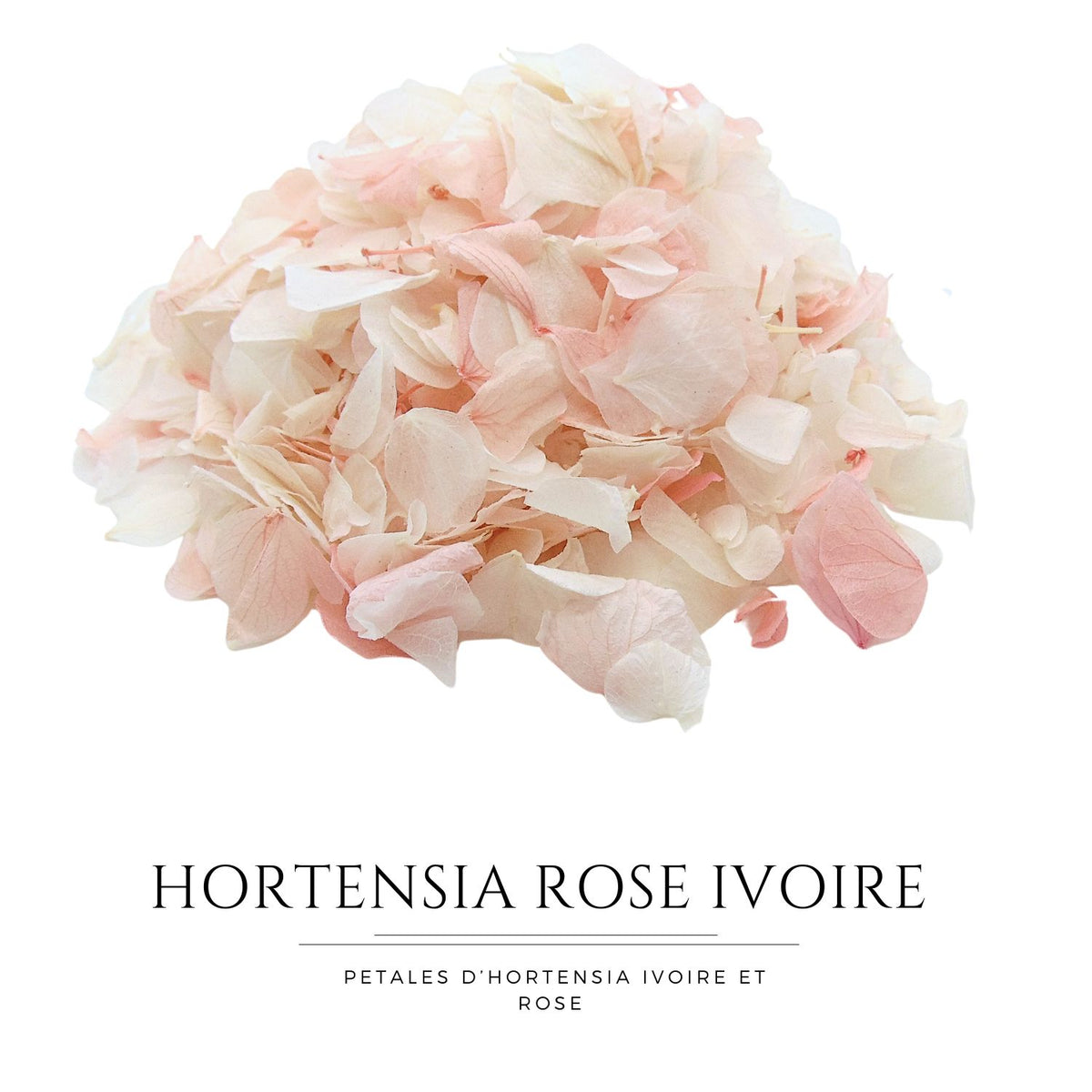 Pétales d'Hortensia séché Rose Ivoire - Confettis de Mariage
