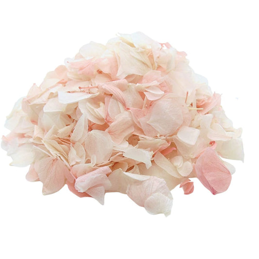 Pétales d'Hortensia séché Rose Ivoire - Confettis de Mariage