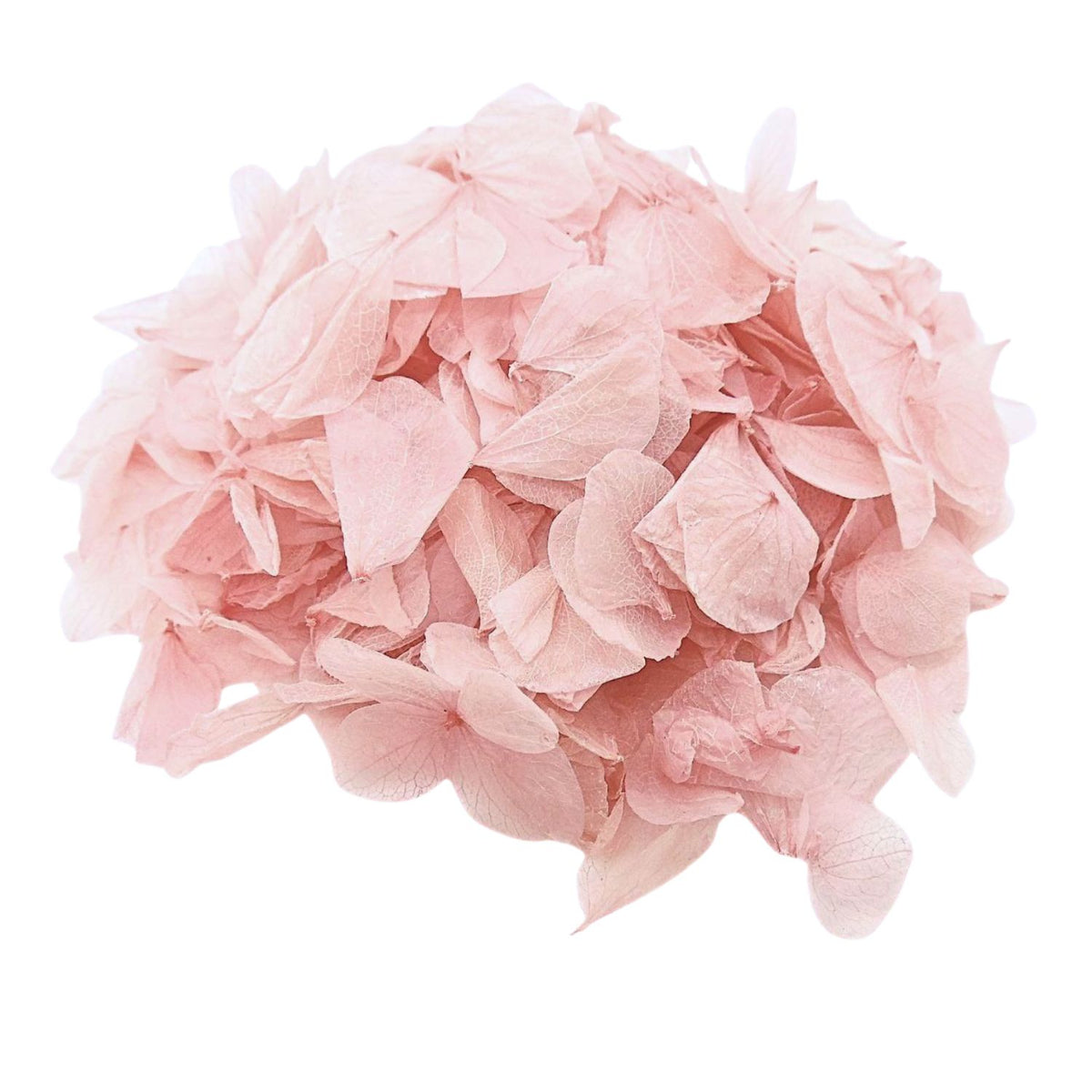 Pétales d'Hortensia séché Rose pâle - Confettis fleurs Mariage