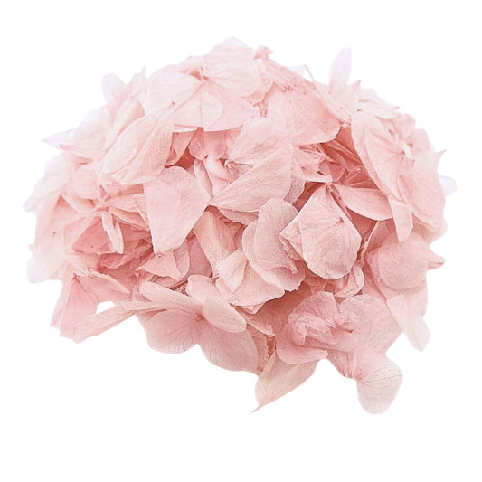 Pétales d'Hortensia séché Rose pâle - Confettis fleurs Mariage