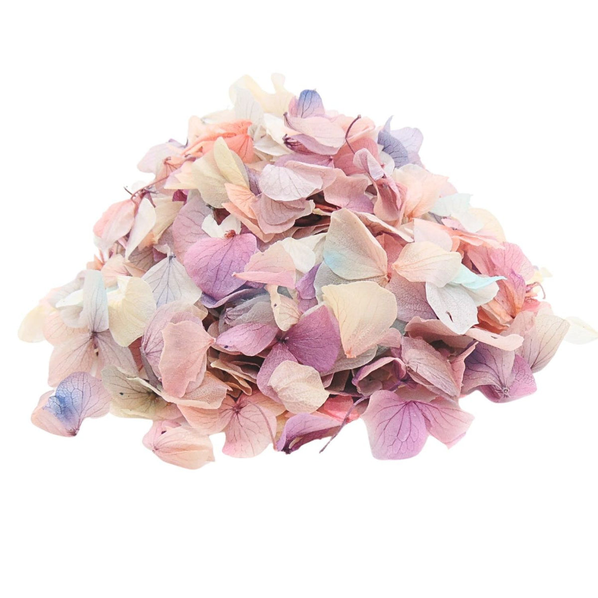 Pétales d'Hortensia séché Arc en ciel - Confettis de Mariage Biodégradables