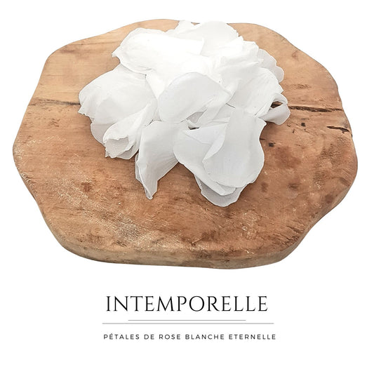 Intemporelle - Pétales de rose blanches éternelle