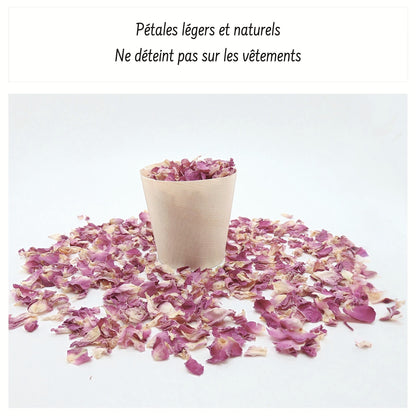 Pureté Rose Damas - Pétales de roses
