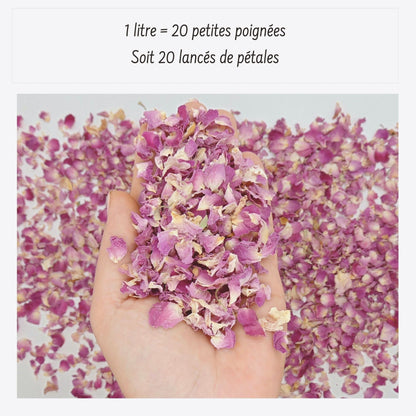 Pureté Rose Damas - Pétales de roses