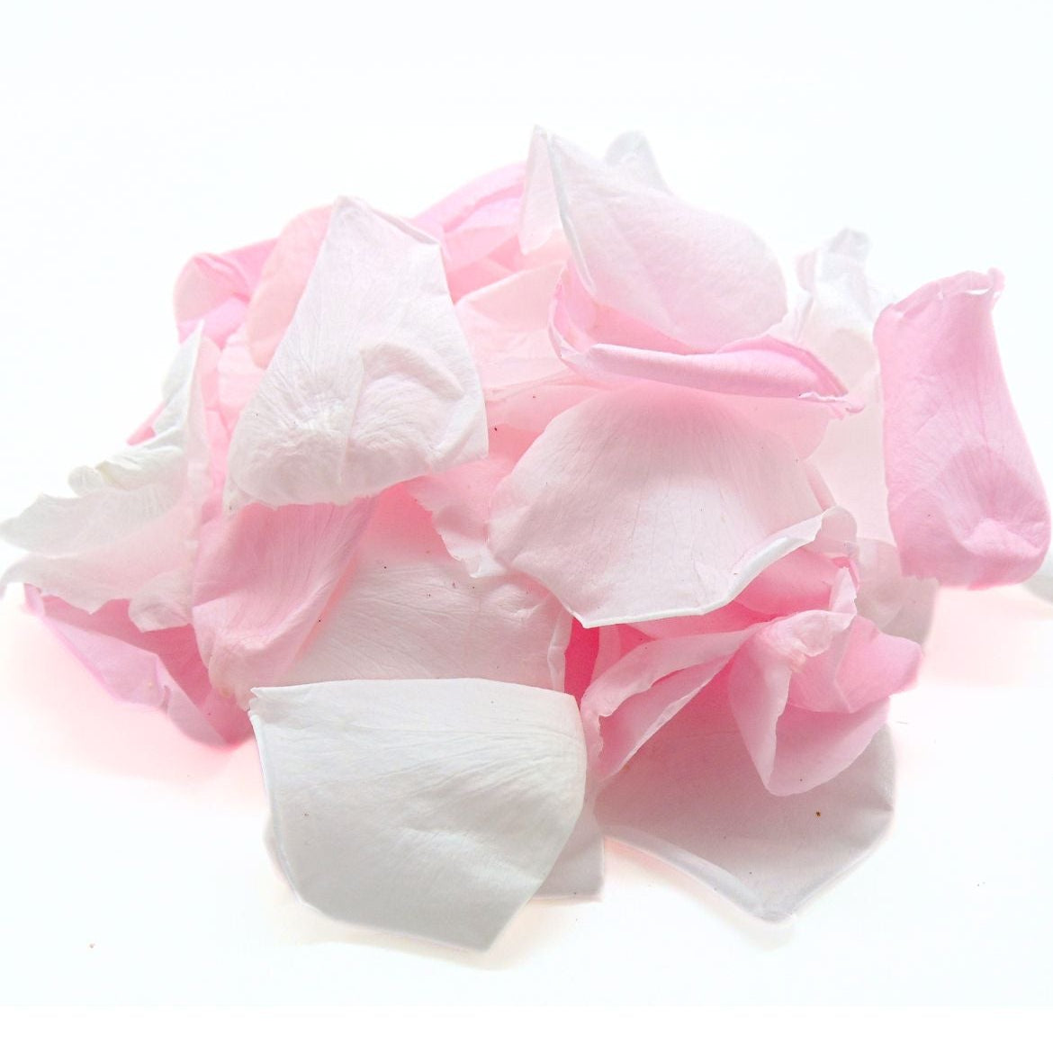 Girly - Pétales de rose éternelle blanche et rose