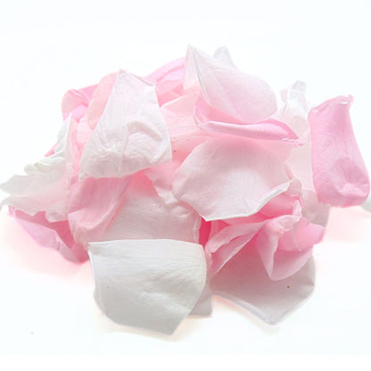 Girly - Pétales de rose éternelle blanche et rose