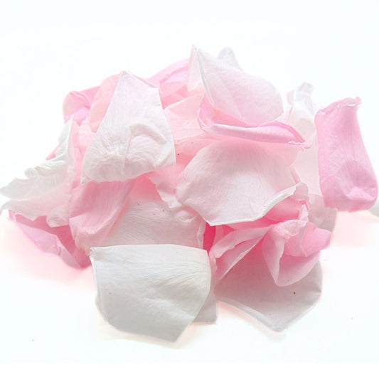 Girly - Pétales de rose éternelle blanche et rose