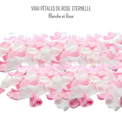 Girly - Pétales de rose éternelle blanche et rose