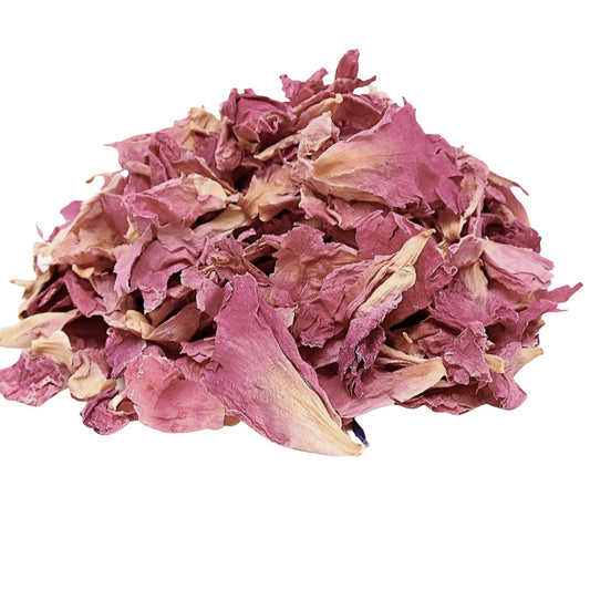 Pétales de Pivoine séchées