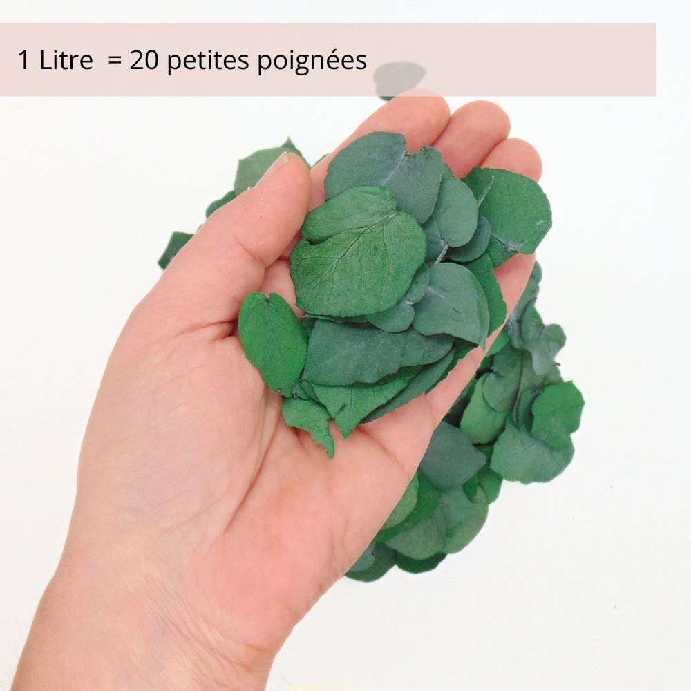 Feuille d'Eucalyptus - Décoration de Table Mariage