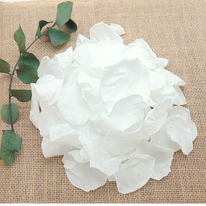 Intemporelle - Pétales de rose blanches éternelle