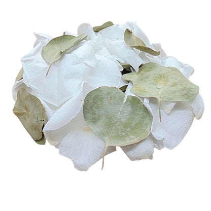 Pétales de Roses blanches Feuille d'Eucalyptus séché